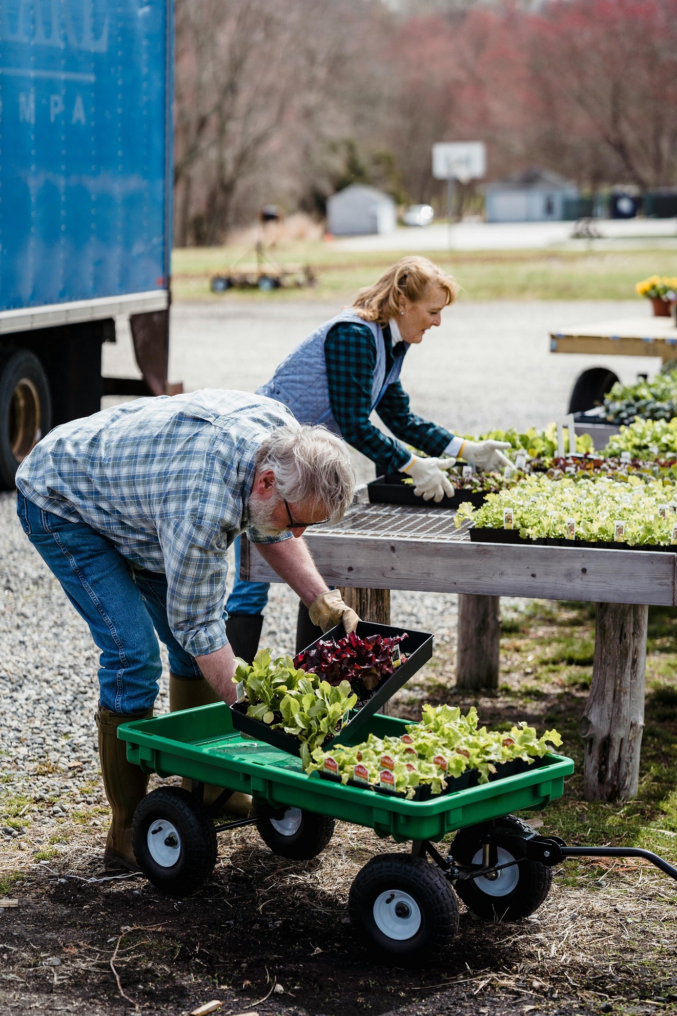 Create Eco-Friendly Community Garden in Druskininkai